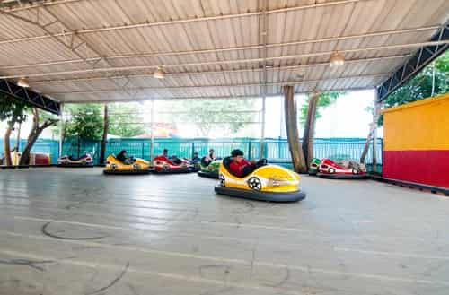 Dashing Cars